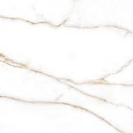 Brera Gold Compacglass 60x60