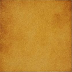 Bronce 20x20