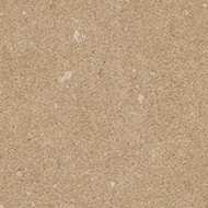 Buxy Caramel 50x50