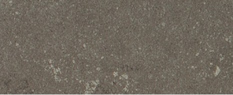 Buxy Cendre 50x100