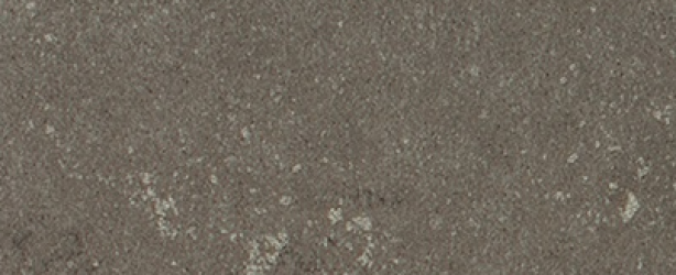 Buxy Cendre 50x100