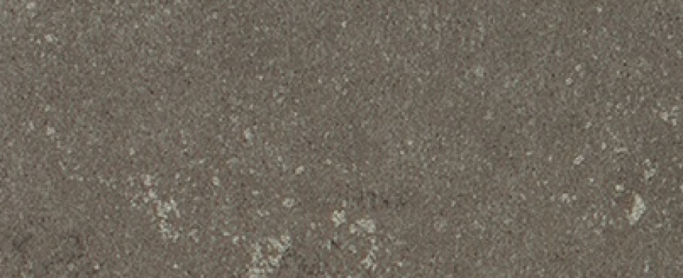 Buxy Cendre 50x100
