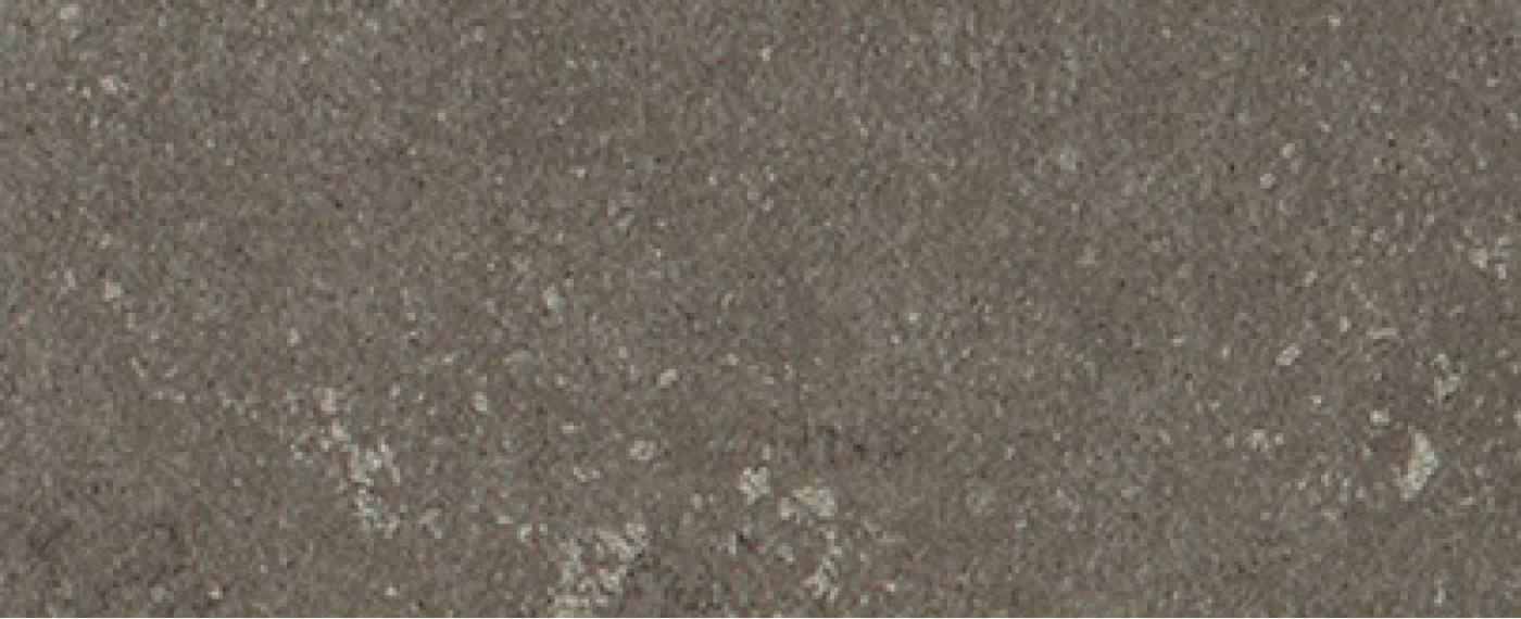 Buxy Cendre 50x100
