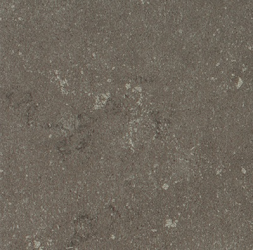 Buxy Cendre 50x50