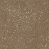 Buxy Noisette 100x100