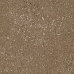 Buxy Noisette 100x100