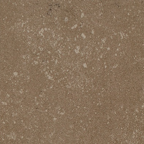 Buxy Noisette 100x100