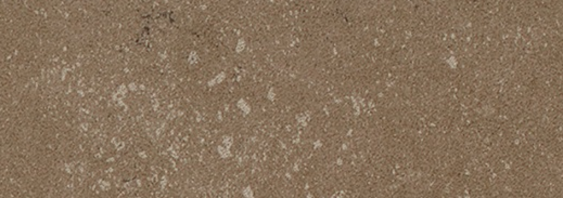 Buxy Noisette 300x100