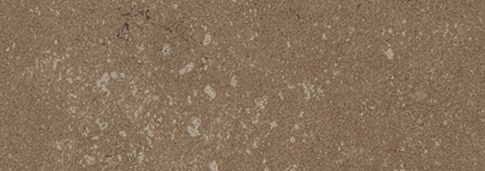 Buxy Noisette 300x100