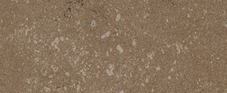 Buxy Noisette 50x100