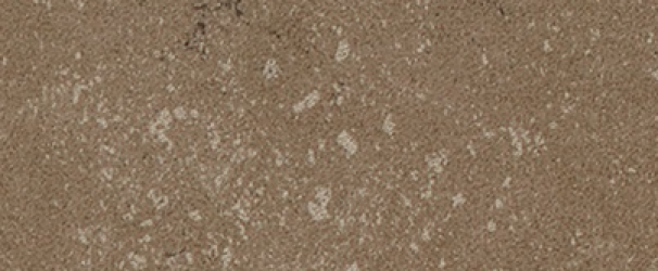 Buxy Noisette 50x100