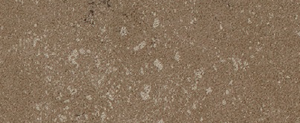 Buxy Noisette 50x100