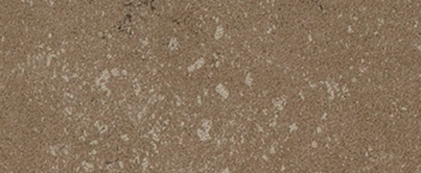 Buxy Noisette 50x100