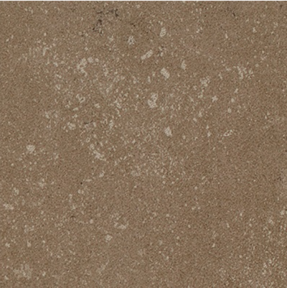 Buxy Noisette 50x50