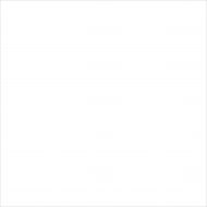 C-PW4R052 Palitra белый 42x42