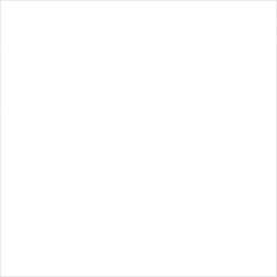 C-PW4R052 Palitra белый 42x42