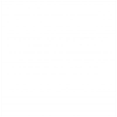 C-PW4R052 Palitra белый 42x42