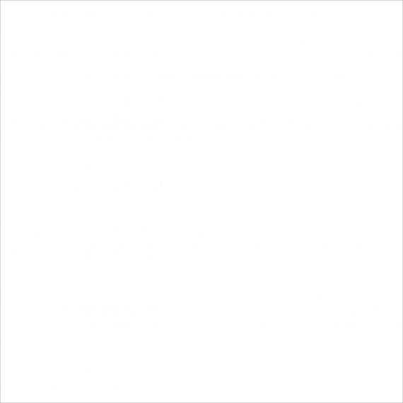 C-PW4R052 Palitra белый 42x42