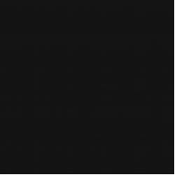 C-PW4R232 Palitra черный 42x42