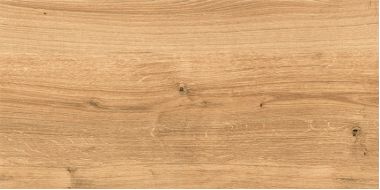 C-WS4O112D Woodhouse коричневый 29,7х59,8