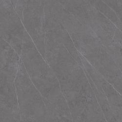 C221100601 Xlight Liem Grey Polished 120x120