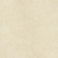 C225800031 Stuc Beige Nature 59,4x59,4