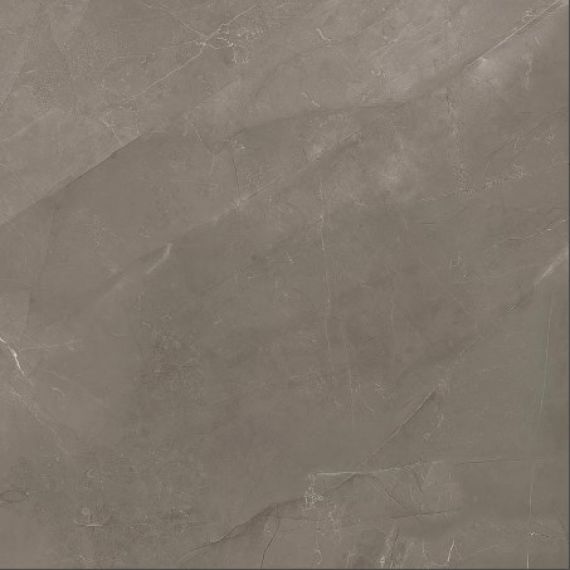 C225801071 Soul Stone Nature 59.4x59.4