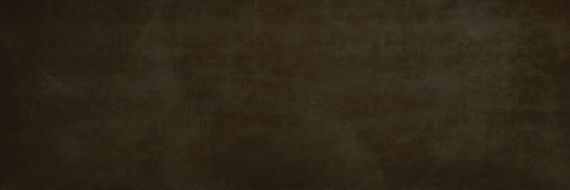 C226500821 Xlight Rust Dark Nature 300x100