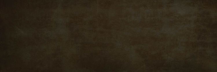 C226500821 Xlight Rust Dark Nature 300x100