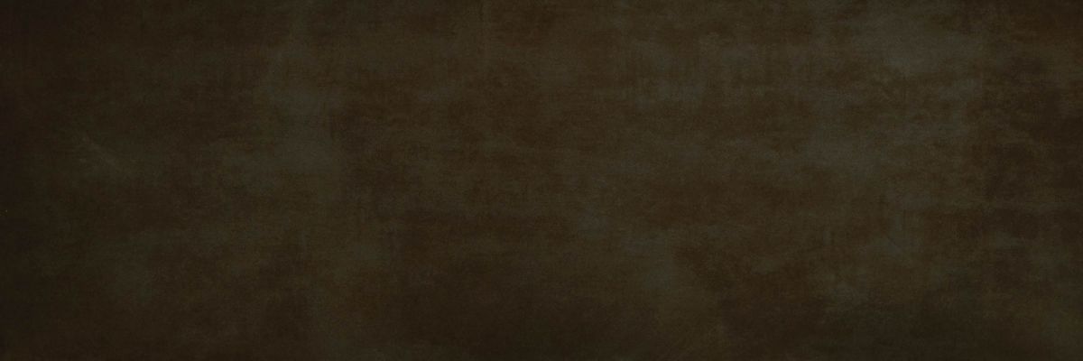 C226500821 Xlight Rust Dark Nature 300x100