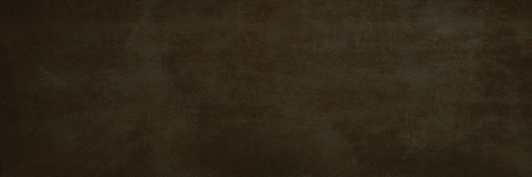 C226500821 Xlight Rust Dark Nature 300x100