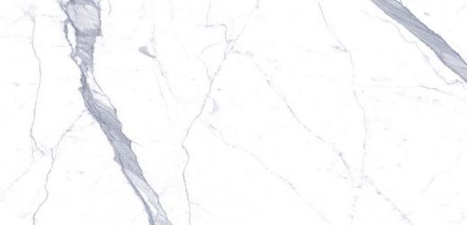 C229800461 Xlight 120x250 Kala White Polished