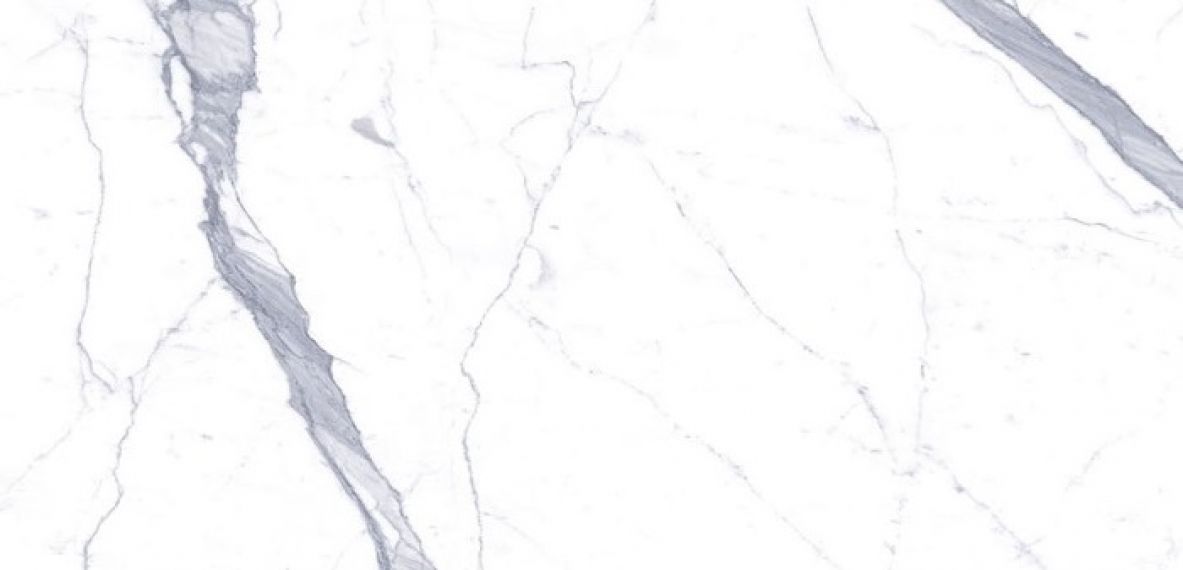 C229800461 Xlight 120x250 Kala White Polished