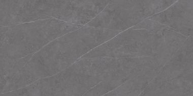 C229801491 Xlight Liem Grey Polished 120x250