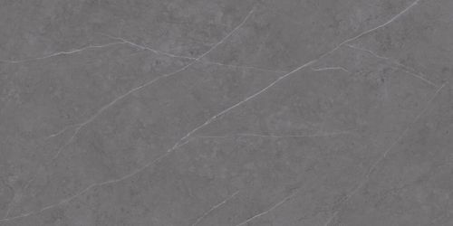 C229801491 Xlight Liem Grey Polished 120x250