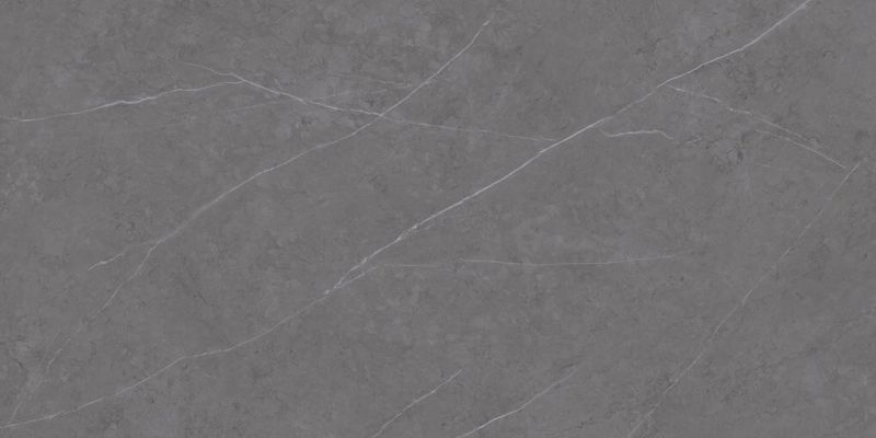 C229801491 Xlight Liem Grey Polished 120x250