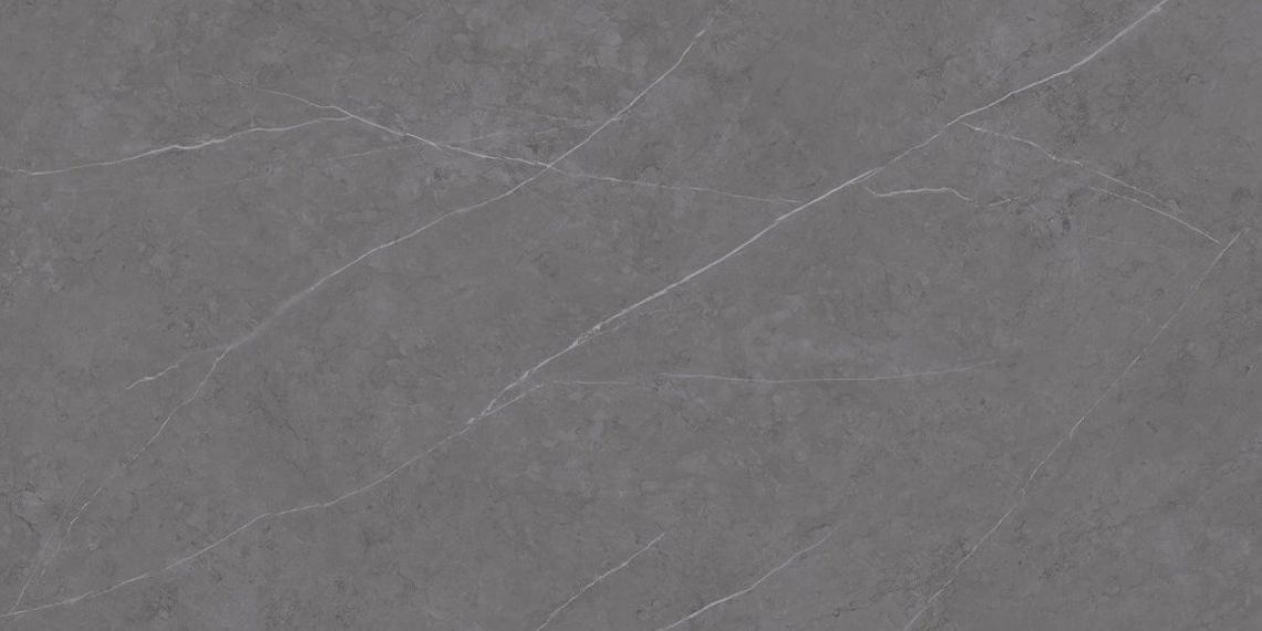 C229801491 Xlight Liem Grey Polished 120x250