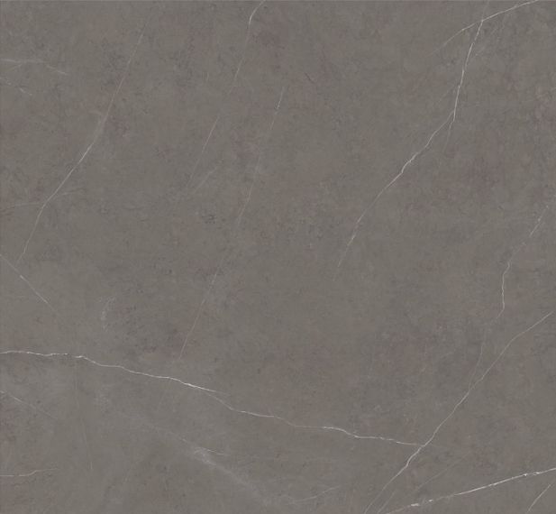 C229994551 Xlight 150x150 Liem Grey Silk