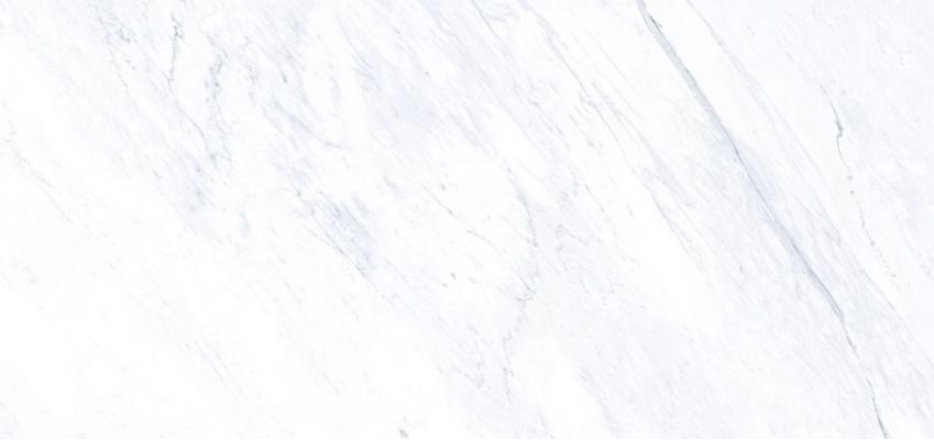 C279007241 Xlight 154x328 Lush White Polished