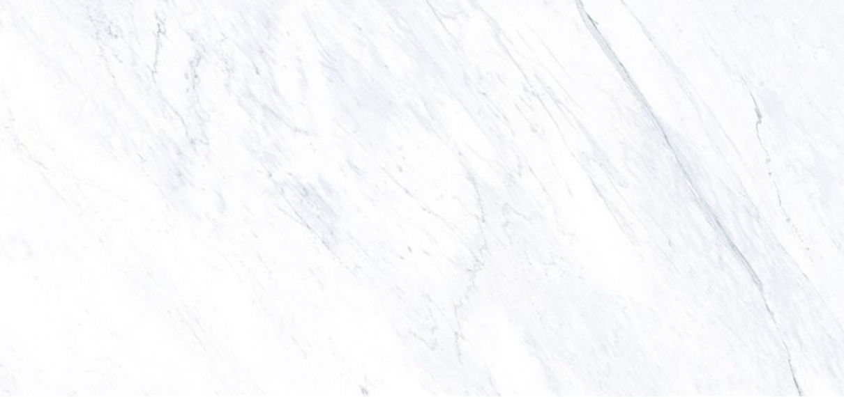 C279007241 Xlight 154x328 Lush White Polished