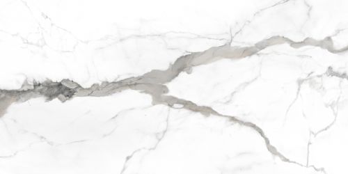 CA016012N Керамогранит Calacatta Grey 60х120