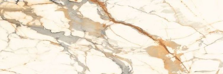 CALACATTA BRONZE Polished 240x80