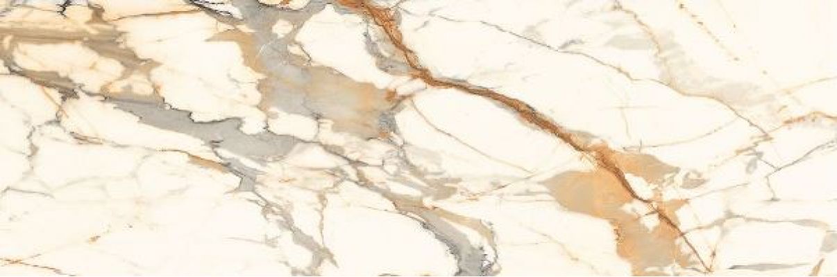 CALACATTA BRONZE Polished 240x80