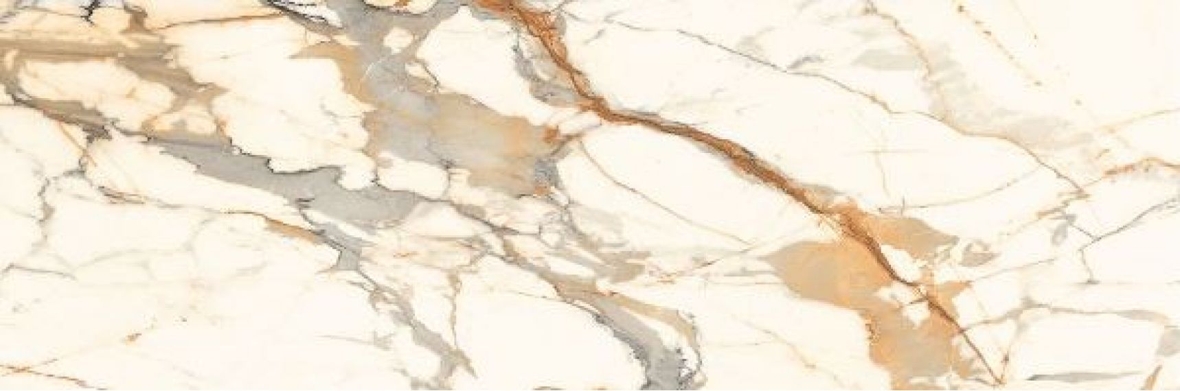 CALACATTA BRONZE Polished 240x80