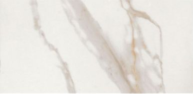CALACATTA GOLD LAP RET 120x278