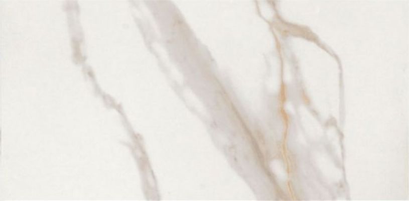 CALACATTA GOLD LAP RET 120x278