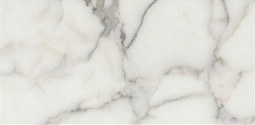 CALACATTA Lap Rett 120x278