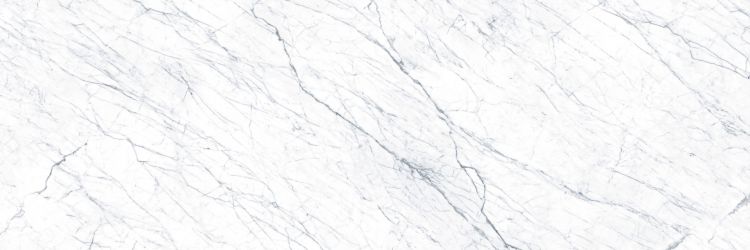 CALACATTA SL.IN.SA.ST 300x100