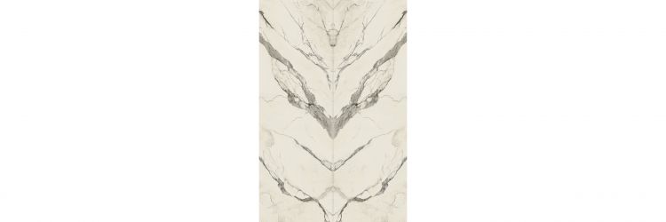 CALACATTA SLC.STM.CLGE.LG BOOK 300x100
