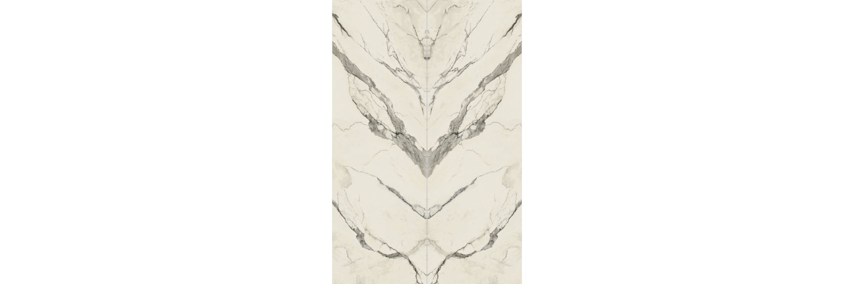 CALACATTA SLC.STM.CLGE.LG BOOK 300x100